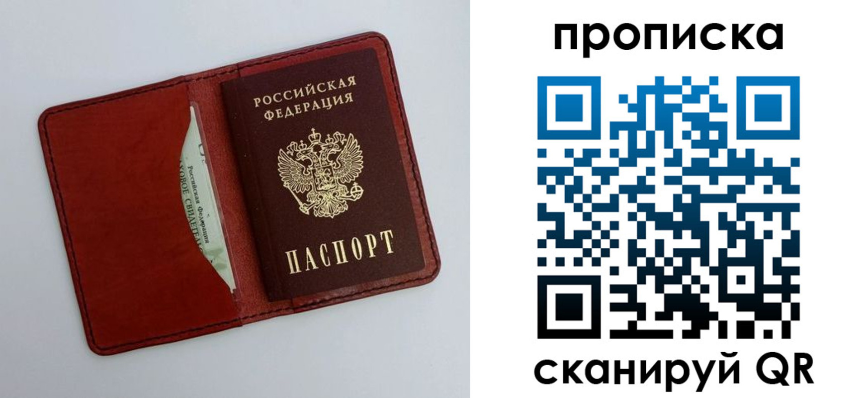 прописка ребенка в Кольчугино